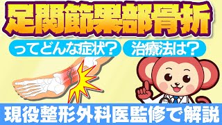 【意外と知らない】足関節果部骨折って◯◯の骨折のこと医師監修で詳しく解説 [upl. by Sirtaeb]