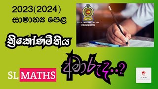 SL Maths 20232024 OL Mathematics Paper Discussionත්‍රිකෝණමිතිය Thrikonamithiya Trigonometry [upl. by Erasmus]