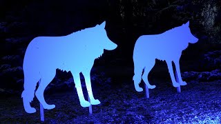 125 Jahre Rostocker Zoo – Polarlichter leuchten ins Jubiläumsjahr [upl. by Klump]