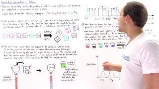 Determination of Amino Acid Composition [upl. by Lemraj]