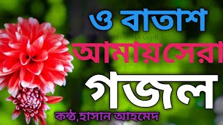 ‌্ও বাতাশ আমায়🌿 তুমি নিয়ে যাওনা 🌠 বাংলা গজল 2024🕍 Hassan HA Gojol 💙 [upl. by Arac]