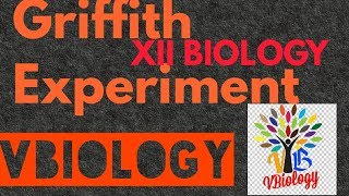 Griffith Experiment XII Biology ch6 Molecular basis of inheritance  Part 2 [upl. by Deckert838]