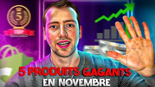 Top 5 produits GAGNANTS à vendre en Novembre 2024 en Dropshipping [upl. by Mell]