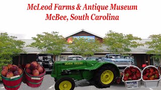 McLeod Farms  McBee South Carolina Fresh Produce amp AMAZING Antique Museum [upl. by Enelhtac]