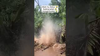 viral ada buaya ngamuk di bawah jalan  😱🙏  membayangtv [upl. by Hollingsworth]