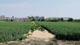 No 4 agriculture drone drone test JT40404042702 [upl. by Yruam]