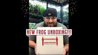 NEW FROG UNBOXING [upl. by Pape696]