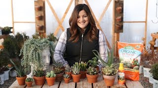 Indoor Succulents for Beginners 🌺  Garden Answer [upl. by Maag]