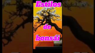 Estilos de bonsai bonsaiparaprincipiantes bonsaiaficionado bonsaitree plantas jardin bonsai [upl. by Elsworth]