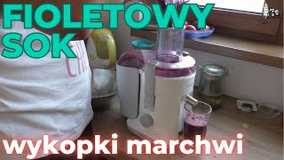 Fioletowy sok i wykopki marchewki czerwonej [upl. by Iclehc]