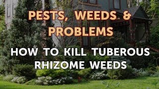 How to Kill Tuberous Rhizome Weeds [upl. by Evaleen]