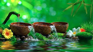 Relaxing Piano Music Bamboo Water Fountain Sleep Music Relaxing Music Meditation Music 46 [upl. by Lust]