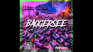 deMusiax x Guterzogene Asis  Baggersee Lyrics Video [upl. by Nivad977]