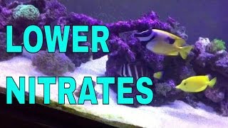 How Im lowering nitrates in the 125 gallon saltwater aquarium [upl. by Eiltan]