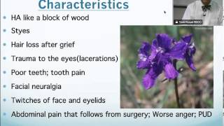 Staphysagria Homeopathic Medicine Tips For Beginners [upl. by Ialocin128]