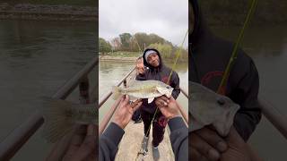 Minnows amp Shiners The Tiny Titans bassfishing fishing river [upl. by Kiley]