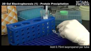 Precipitation of proteins by heavy metals salts [upl. by Lin]