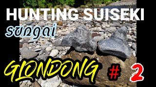 HUNTING SUISEKI SUNGAI GLONDONG [upl. by Cormier]