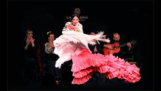 La Bulería Tablao Flamenco [upl. by Alacim]