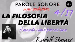 Rudolf Steiner  MINI AUDIOLIBRO 417  LA FILOSOFIA DELLA LIBERTA  Parole Sonore [upl. by Yelyak]