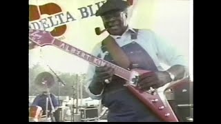 ALBERT KING  Delta Blues Festival 1992 [upl. by Hanima]