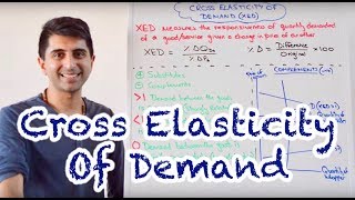 Y1 13 Cross Elasticity of Demand XED [upl. by Cooe]