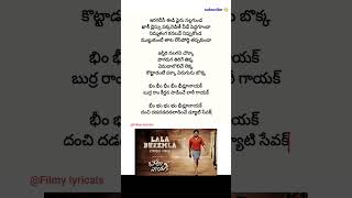 Bheemla Nayak title song lyrics  Pawan kalyan  Nitya menon  Trivikram srinivas  sagar k chandra [upl. by Nicki137]