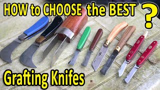 Grafting Fruit Trees  HOW to Choose the BEST GRAFTING KNIFE [upl. by Asha]