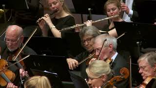 BRAHMS  Ungarsk Dans nr 5 [upl. by Evered]