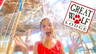 Best Water Slides at Great Wolf Lodge [upl. by Ecirtnahs]