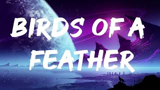 Billie Eilish  BIRDS OF A FEATHER Lyrics [upl. by Sadirah]