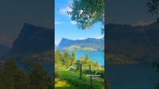 Kastanienbaum switzerland swissbeauty travel shorts shortvideo [upl. by Elegna]