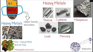 Heavy Metal Poisoning Toxicity Causes Symptoms and treatment Lead poisoning cadmium poisoning [upl. by Gerdeen]