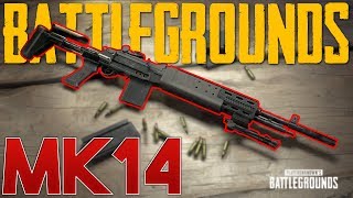 THE NEW GUN IS AMAZING IN BATTLEGROUNDS PUBG MK14 EBR Gameplay [upl. by Ala973]