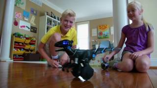 Miposaur Robotic Dinosaur w Charge Pack By WowWee on QVC [upl. by Reerg]