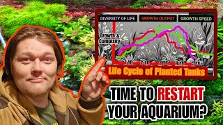 The Life Cycle of A Planted Tank amp Knowing When it Will PEAK amp WHEN TO RESET Your Nature Aquarium [upl. by Junius]