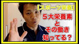 【スポーツ 栄養】５大栄養素とその働き知ってる？ [upl. by Tiphane]