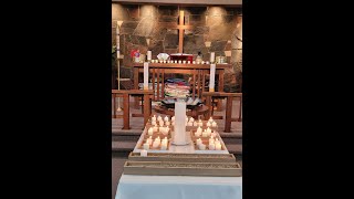 Trinity Lutheran of Cook  Worship Service  All Saints Sunday November 3 2024 [upl. by Amble]