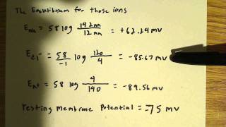 Flow of ions at resting potential [upl. by Oirelav661]