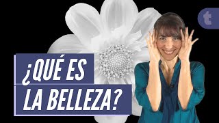 La estética y belleza para la filosofía [upl. by Hein]