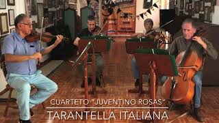 Cuarteto Juventino Rosas Tarantella Italiana [upl. by Hemetaf]