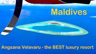 Maldives 2024☀️🏝️❤️ ANGSANA Velavaru Maldives 🦈🐟🏝️ OUR SECOND HOME 4K [upl. by Mcclish306]