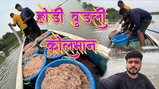 होडी बुडली कोलमान  transparent 🦐 prawn species fishing Mumbai India fishing [upl. by Notgnihsaw]