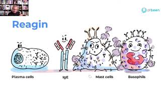 Pathology of Type I Allergic Reactions Allergies Hypersensitivity Reactions Anaphylaxis [upl. by Atteloc880]