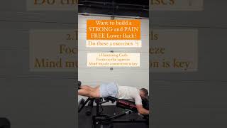 Build a Pain Free Lower Back [upl. by Ellocin]