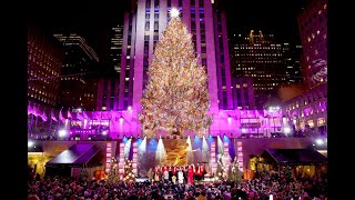 Rockefeller Center Christmas Tree 2024 in New York City [upl. by Amaryllis]