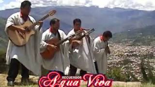 AGUA VIVA Si vienes a mi Abancay Huayno Apurimac [upl. by Ellary]