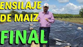 ENSILAJE DE MAIZ FINAL [upl. by Nyret]