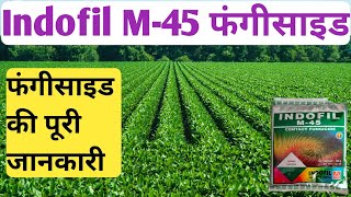 Indofil M45 FungicideIndofil M45 Fungicide PriceDoseUse [upl. by Anglim]