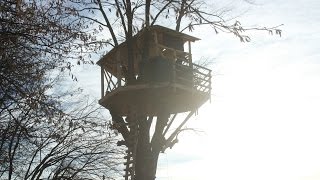 Building an Amazing Treehouse [upl. by Ardek]